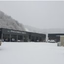 지유테크 Daum카페