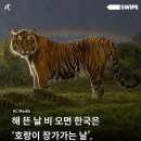 해 뜬 날 비 오면 한국은 '호랑이 장가가는 날', 다른 나라는 뭐라고 할까? 이미지