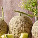 도포원예정보화마을 이미지