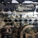 마스타카센타 이미지