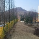 감일지구 이미지