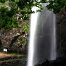 뉴월드약국 이미지