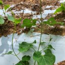 규석농장 이미지