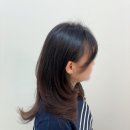 에비뉴헤어 | 에아바헤어 중동에비뉴 밀본크리닉 후기