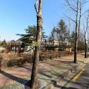 아리수로 50길 이미지