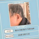 맑은소리보청기 | 귓속에서 세상이 다시 선명해진 썰 푼다, 맑은소리보청기 방문기!