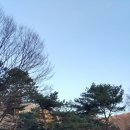 동산남성 이미지