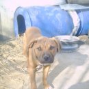 한장한코 이미지