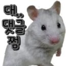 오물오물 이미지