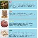 알앤비바이오 | 내아이 건강, 면역 지키기