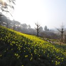 선화수선