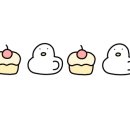 강릉아기동물농장 이미지