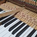 맑은피아노교습소 이미지