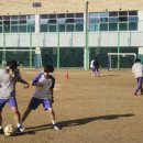 평촌중학교 이미지