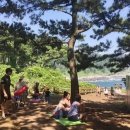 황우지해안열두굴 이미지