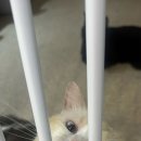 프리펫시티 이미지