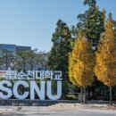 2018년 거리로 나온 예술 이미지