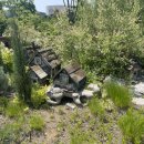 서울식물원 이미지