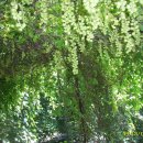 은주농장 이미지