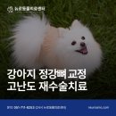정강동물병원 이미지