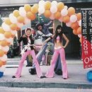 헤르시나 이미지