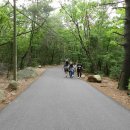 양명여자고등학교 이미지