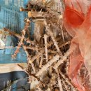 오지 3리 이미지