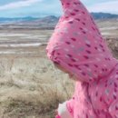 rabbit mountain 이미지
