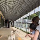 은준농장 이미지