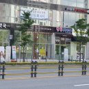 미사청과 이미지