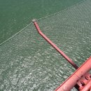 골든게이트 이미지