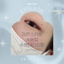 한올강북점 | 강북구 번동 수분테라피펌 자연스러운 속눈썹펌