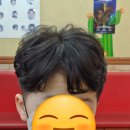 커트와파마(오전) 이미지