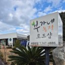 제이농장 | 제주 귤따기체험 [부가네농장&amp;제이샘] 제주 아이랑 갈만한 곳 내돈내산 솔직후기