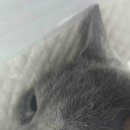 블루동물종합병원 이미지