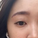 팽브로우 이미지