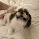6월 마지막주 일상 ( 루이비통카드지갑, 시그니엘더라운지, 구찌립스틱, 디올선미립스틱, 애프터눈티...