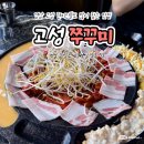 경남 고성 맛집 추천 현지인들도 많이 찾는 고성쭈꾸미 내돈내산 후기