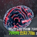 브레인건강센터 이미지