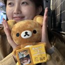 신꼬버꼬 이미지