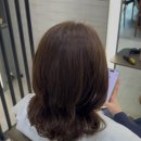 더샵헤어 - 포항시 북구 장량중앙로 30 | 더샵헤어