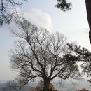 부여(임천)-16 이미지