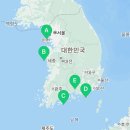 동부면 학동동백군락지