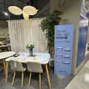 750하우스 - 울주군 두현3길 2-4 | 2인용 식탁 사려다 4인용에 마음 뺏긴 날, 모던하우스 세라믹테이블 후기
