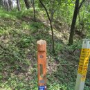 향토문화거리 경로당 | 남원 구룡봉,덕운봉,구룡계곡 산행,(지리산둘레길1코스), 등산코스 : 내송교 - 구룡치 - 구룡봉...