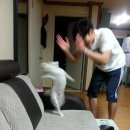 수대연 밴드 공연 번개 모집 이미지