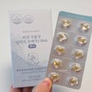 3 | 임산부 영양제 오메가3 복용시기 언제부터? 마미앤대디 비건 오메가3 후기