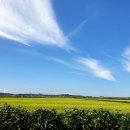 (주)성지여행 이미지