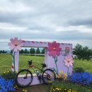 차산1리 이미지