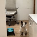 레오소프트 이미지